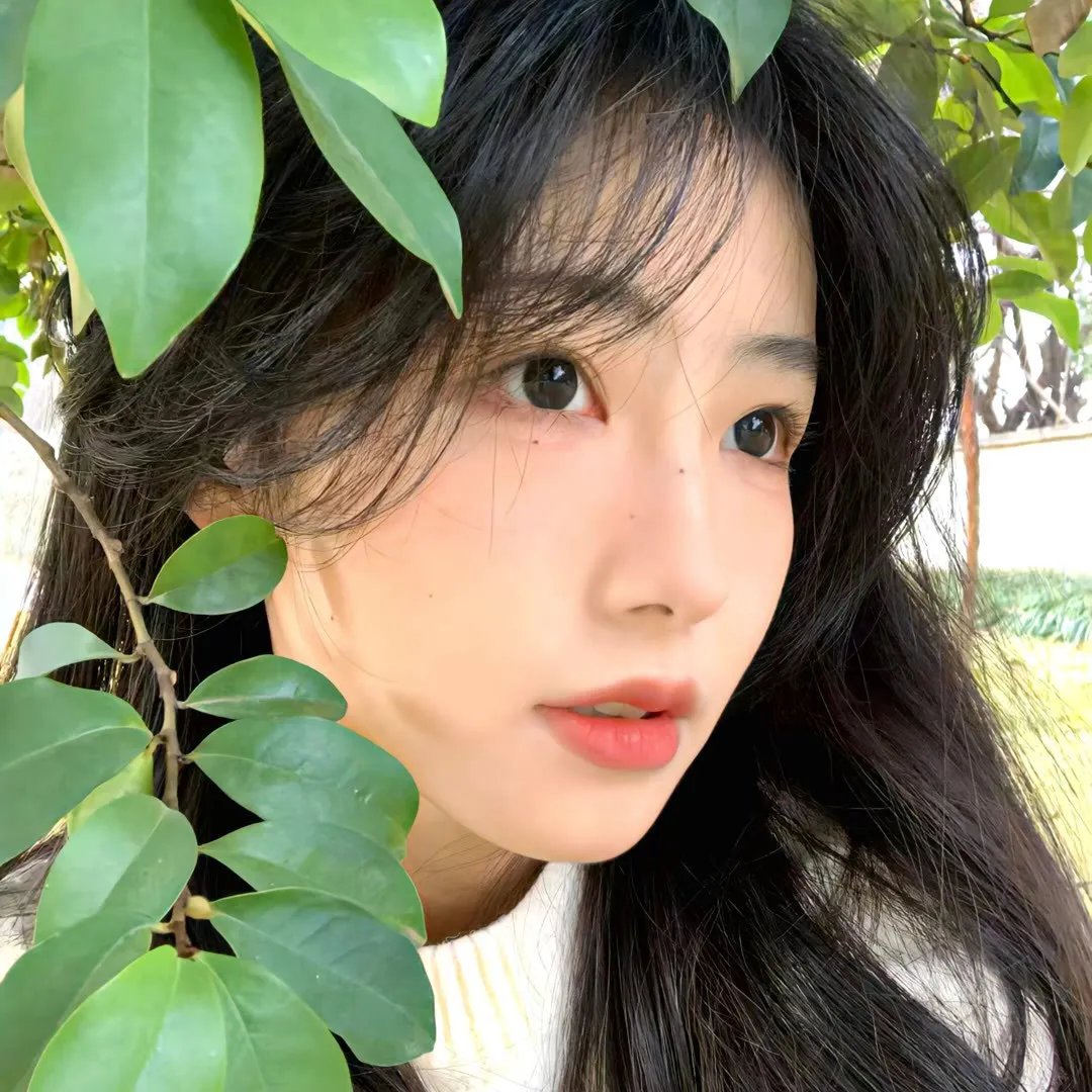 雾中湖