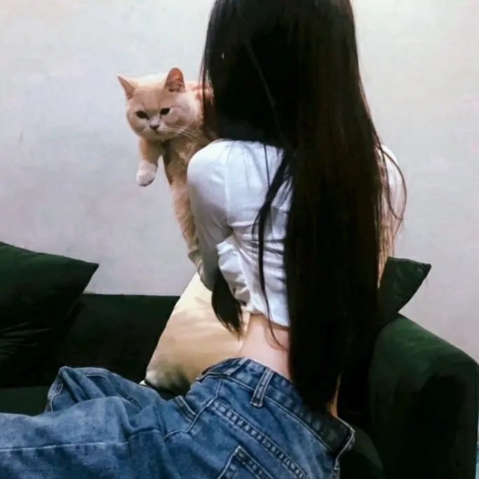 冰属性男子与酷酷女同事